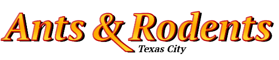 Texas City Ant Exterminator & Rodent Control Company Logo